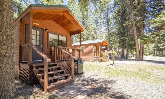 Bayfield Cabina | The Blue Fox Cabin #8