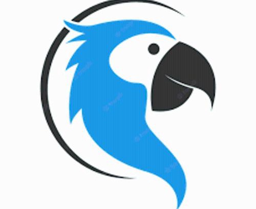 Hampton Casa | The Blue Parrot At Hampton Beach