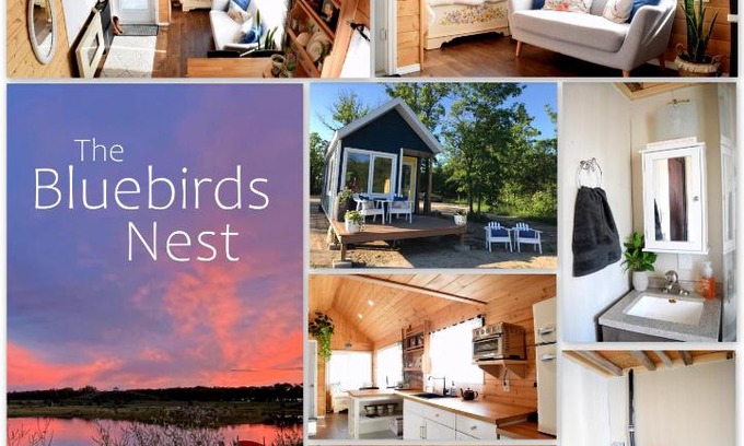 New Bothwell Casa | The Bluebirds Nest