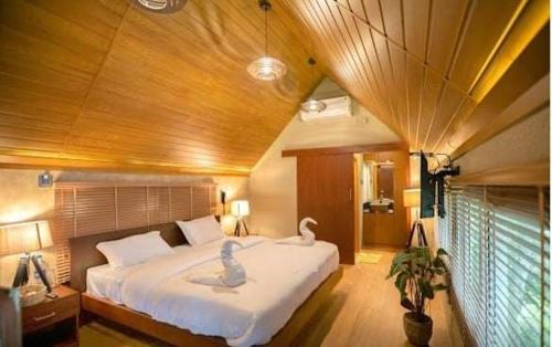 Quilon Complejo | The Brook Serene