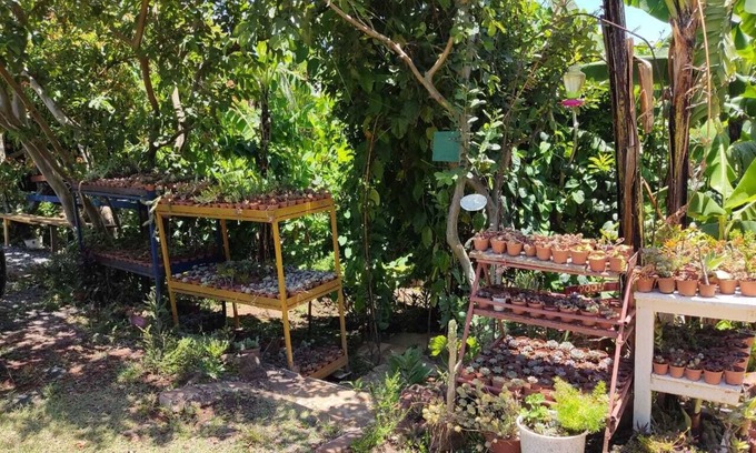 Roble Apartamento | The Buddha, live the tranquility