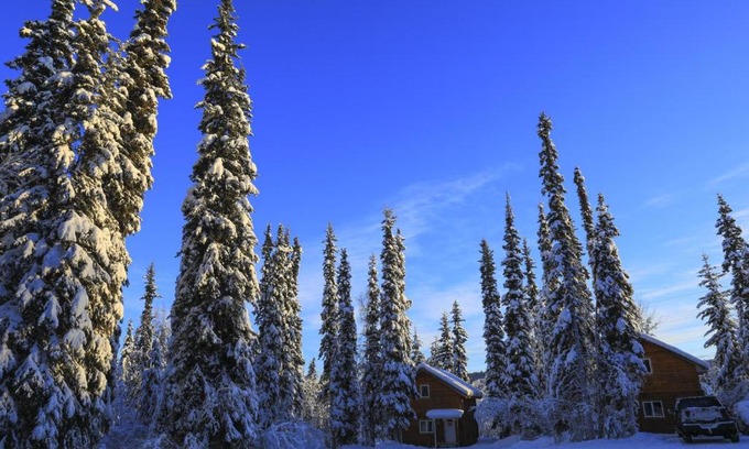Fairbanks Casa | The Cabin in the Woods 2 森林小屋 2