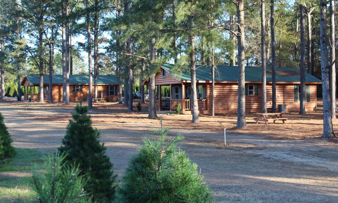 Fairhope Cabina | Alquiler de cabaña de troncos en Fish River Christmas Tree Farm