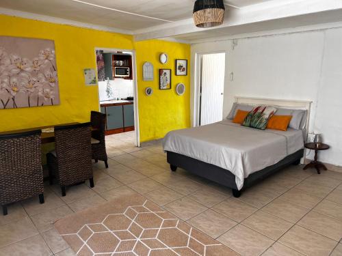 Nkonkobe Casa | The Calvert