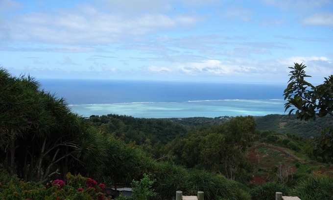 Coromandel Casa | El Case Mon Calme + piscine es perfecto para unas vacaciones regeneradoras.