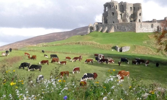 Aberlour Cabaña | The Castle Byre, alojamiento con cocina junto al histórico castillo de Auchindoun