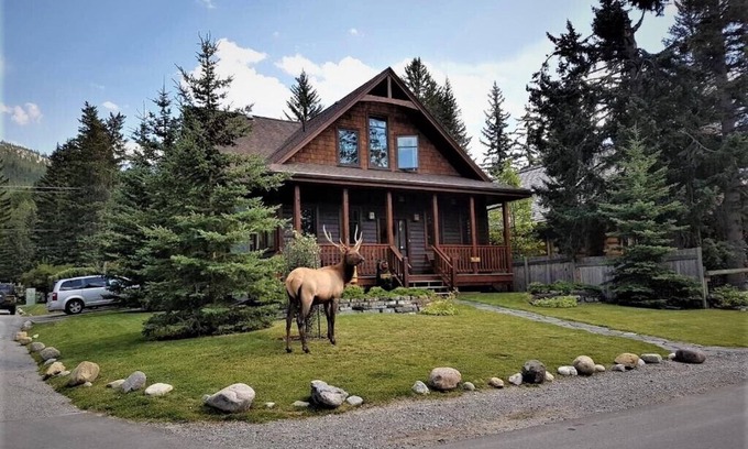 Banff Apartamento | The Cedar - Downtown, walking distance to all the shops and restaurants!
