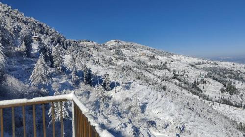 Fagu Apartamento | The Charvi Regency I Vacations I Conference I MICE I Family Events I Open Air Terrace I Sky Bonfire I Wooden Rooms With Pvt Balconies I Kufri by Exotic Stays