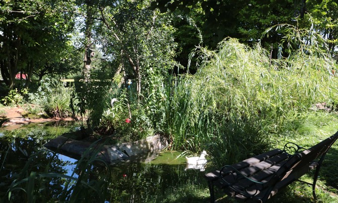 Winscombe Cabaña | The Cider Shed