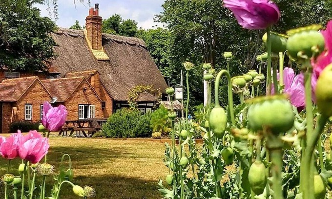 Cuddesdon Cama Y Desayuno | The Clifden Arms