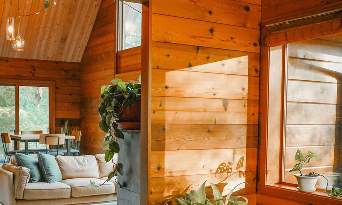 Carver Cabina | The Condors Nest, A-Frame Cabin With Sauna And Outdoor Shower