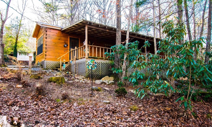 Hiawassee Casa | The Coop -Fire Pit