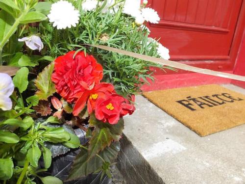 Lecemy Casa | The Cosy Farm Cottage, Donegal