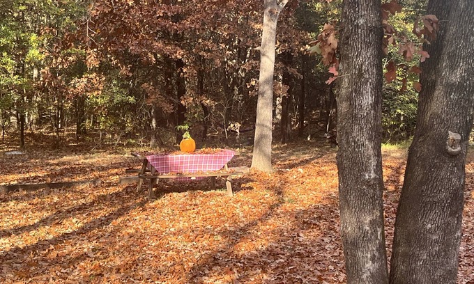 Coleman Casa | The Cottage at Blackberry Hill is located on a quiet country homestead.