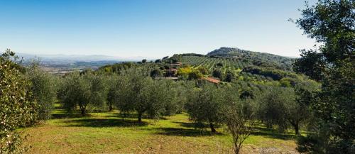 Panicale Casa | The Country House Montali