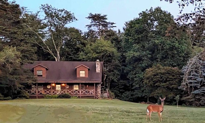 Nescopeck Cabina | The Cozy Cabin, 4 BR, 2 bath home on 5 private acres in NE PA. Family Friendly!