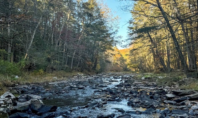 Mount Marion Apartamento | The Creek House - Secluded Stay 10min to Woodstock & Saugerties