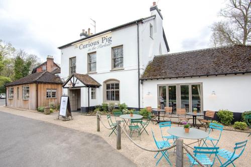 Copthorne Hotel | The Curious Pig in the Parlour