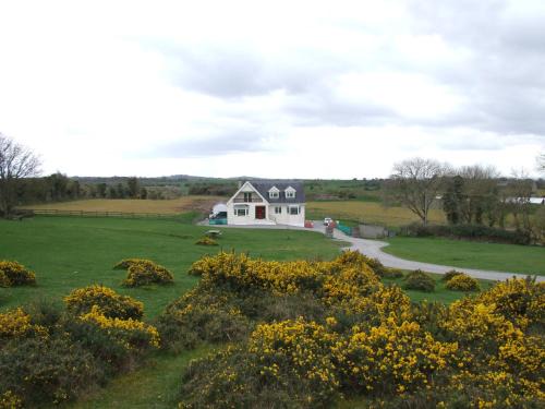 Kilcullen Cama Y Desayuno | The Curragh Country House Accommodation