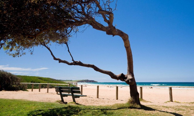 Dee Why Casa | The Eagles Nest - Great Position
