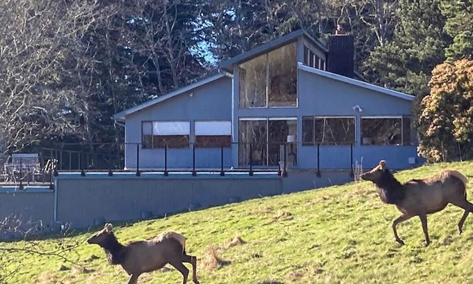 Otis Casa | The Elk Coast House - Secluded Beach Access - Wrap Around Deck - Spa - HotTub