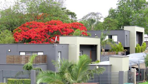 Lobamba Apartamento | The Executive - Exclusive Self-Catering Apartments - Ezulwini