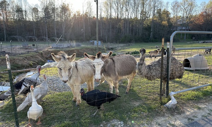 Hendersonville Otro | The Farmhouse Retreat- House A “Come experience life on a farm! Pet Friendly”