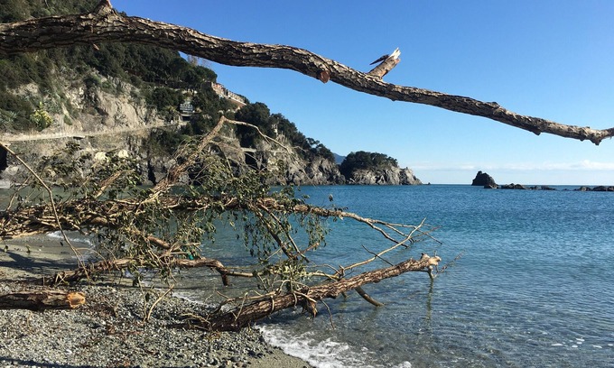 Borgo Antico Apartamento | THE FIVE SAILS*****Cinque Terre Luxury House