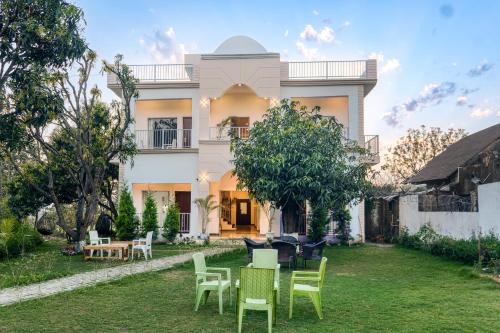 Bail Parao Casa | The Golden Mango