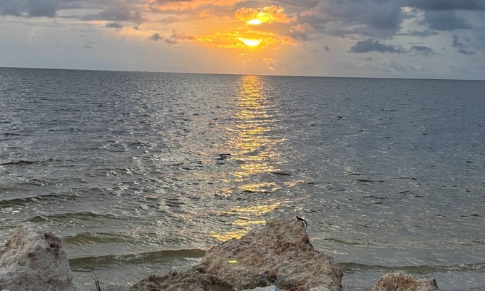 Flor-a-mar Casa | The Golden Pelican – Your Waterfront Escape in Gulf Harbors