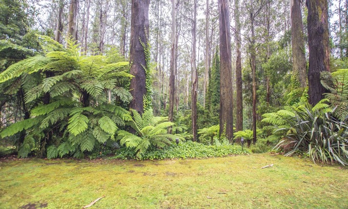 Mount Dandenong Casa | The Grand Lodge: Private rainforest with river