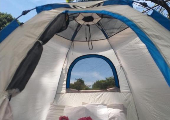 Mto wa Mbu Cama Y Desayuno | The Green Parrot Campsite & Lodge