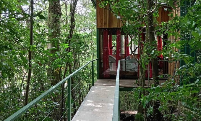 Monteverde Cama Y Desayuno | The Green Tree Lodge