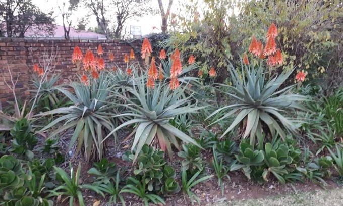 Piet Retief Casa | The Greendoor Guesthouse
