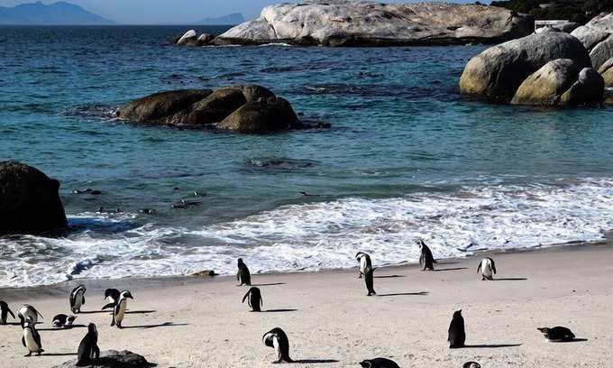 Simon's Town Casa | The Grosvenor Guest House