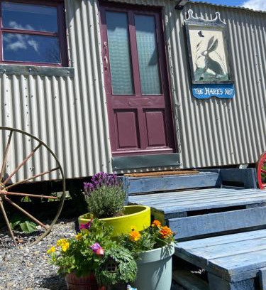 Ballyfoyle Otro | The Hares Hut at Carrigeen Glamping
