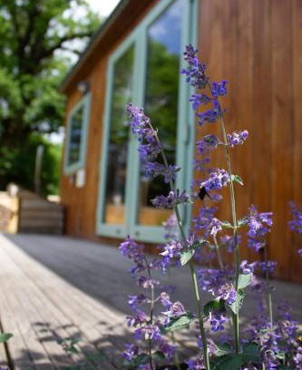 Warminster Otro | The Hideaway at Hidden Wood Glamping