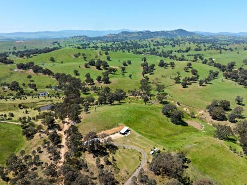 Mansfield Casa | The Hill House