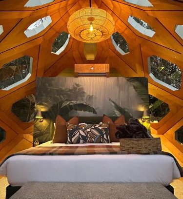 Storms River Otro | The Hive - Jungle at Misty Mountain Reserve
