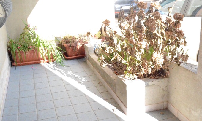 Fonni Apartamento | The Holly Cozy apartment for families and small groups!