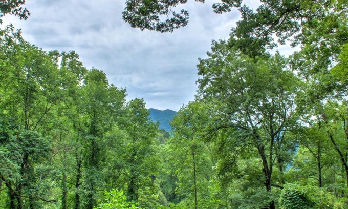 Weaverville Casa | The Honeybee Hideaway