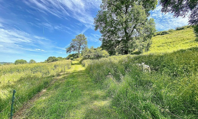 Cliffe Pypard Cabaña | The Horse Cart - UK39547