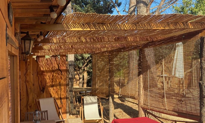 Apt Cabina | The Hut of Happiness