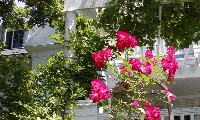 Sudbury Casa | The Inn on the Horse Farm