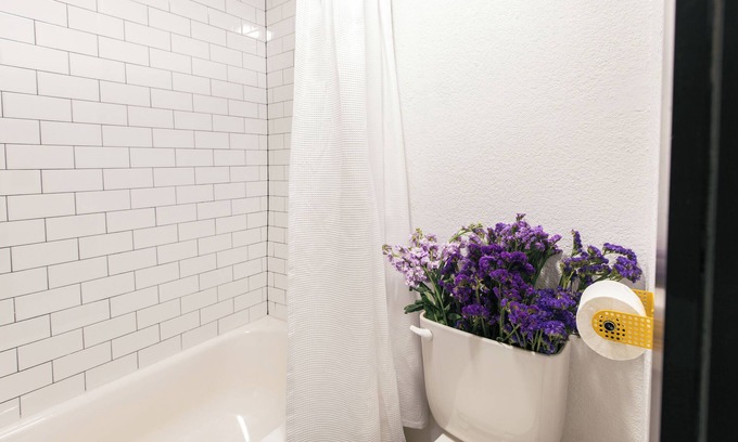 Berry Hill Hotel | The Iris Motel - King Room
