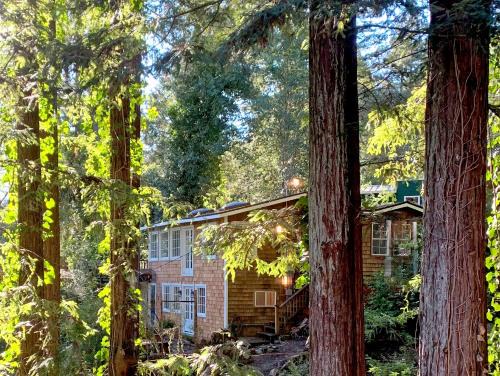 Guerneville Casa | The Ivywood