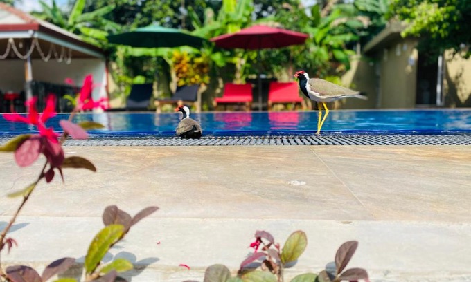 Negombo Complejo | The Kingslayer Resort