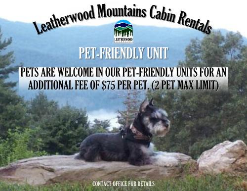 Ferguson Casa | The Last Resort by Leatherwood Mountains Resort