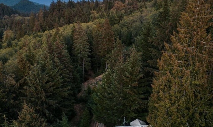 Bowen Island Cabina | the legendary Wildwood Cabins - Cabin 1