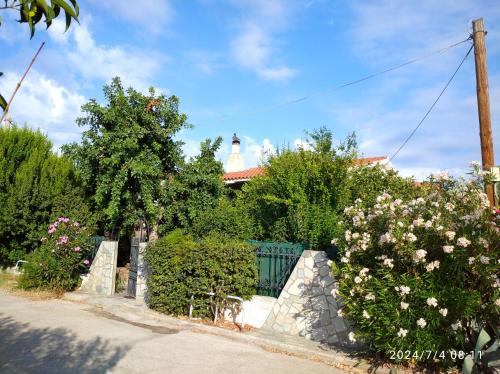 Agii Apostoli Casa | The Lemon House by The Sea